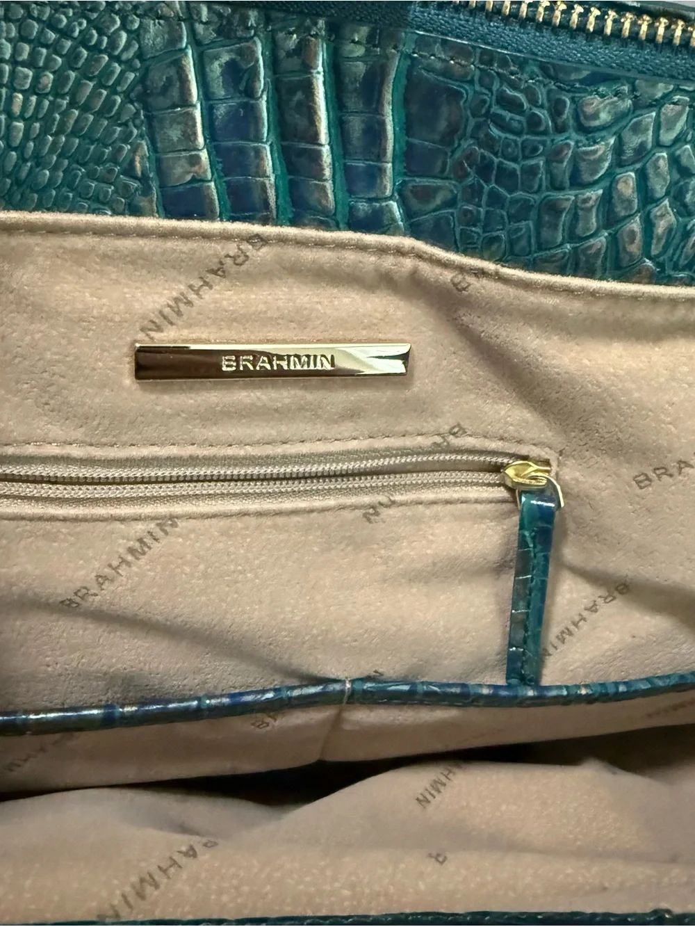 Brahmin this bag
